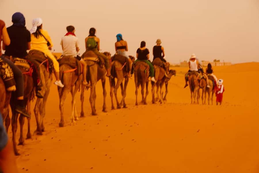 From Marrakech: Tour 3-Day To Fez Via-Desert Merzouga - Should you book it? My decision guide