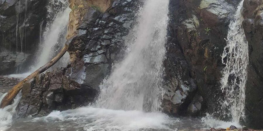 From Marrakech: Trek to Atlas Mountains, Full-Day Trip Lunch - Languages and getting along with your guide