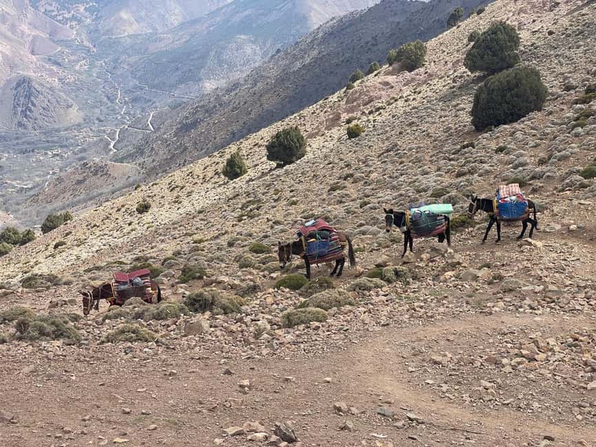 From Marrakech: Trek to Atlas Mountains, Full-Day Trip Lunch - What to expect from timing and pacing