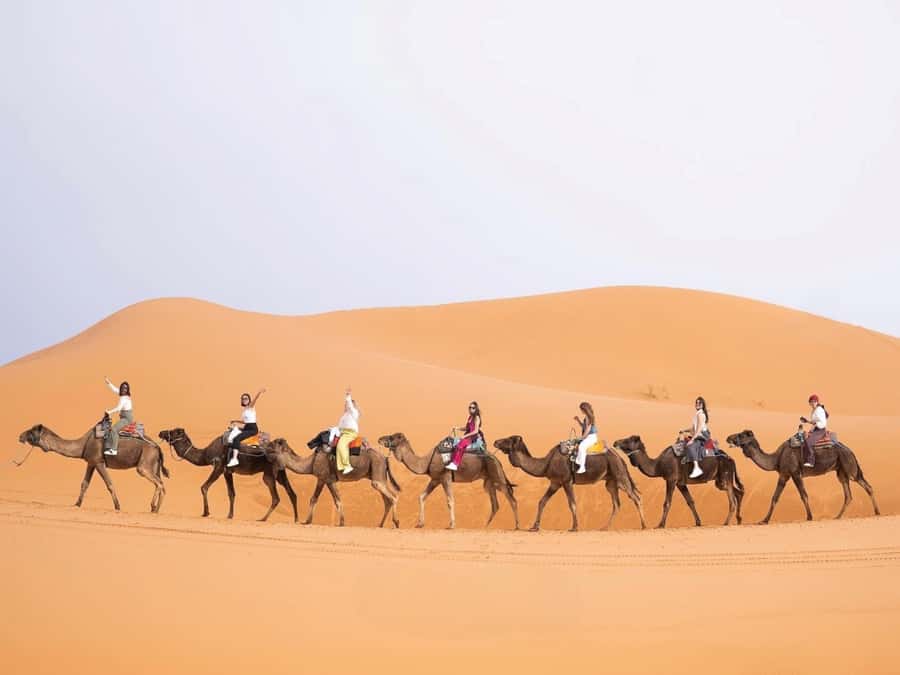 From Marrakech: Unforgettable 3-Day Desert Tour to Fes - Highlights you should care about