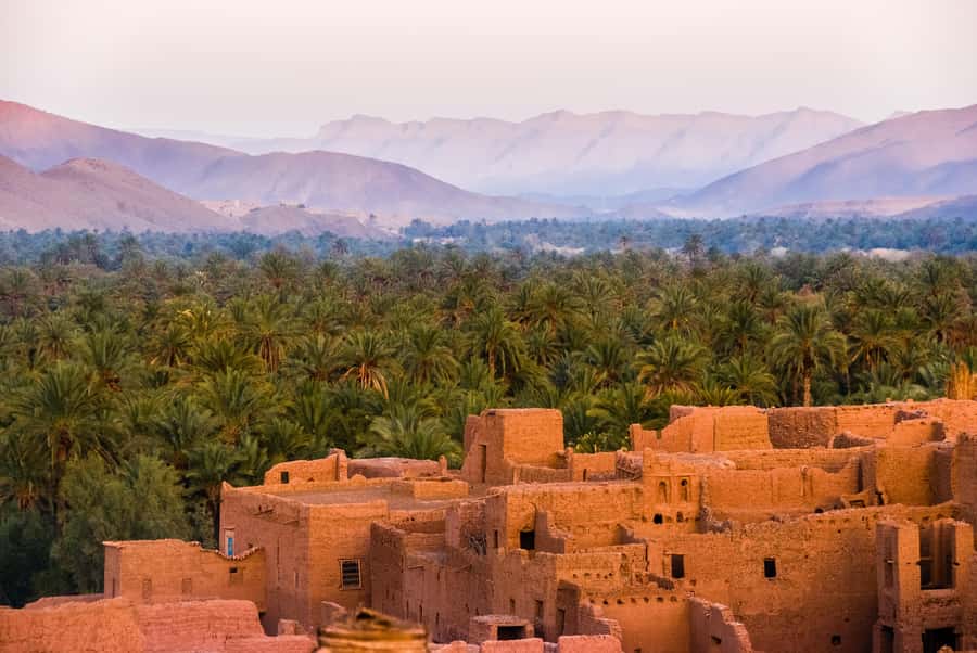 From Marrakech: Unforgettable 3-Day Desert Tour to Fes - Camel trek timing: sunset, sunrise, and choosing your comfort