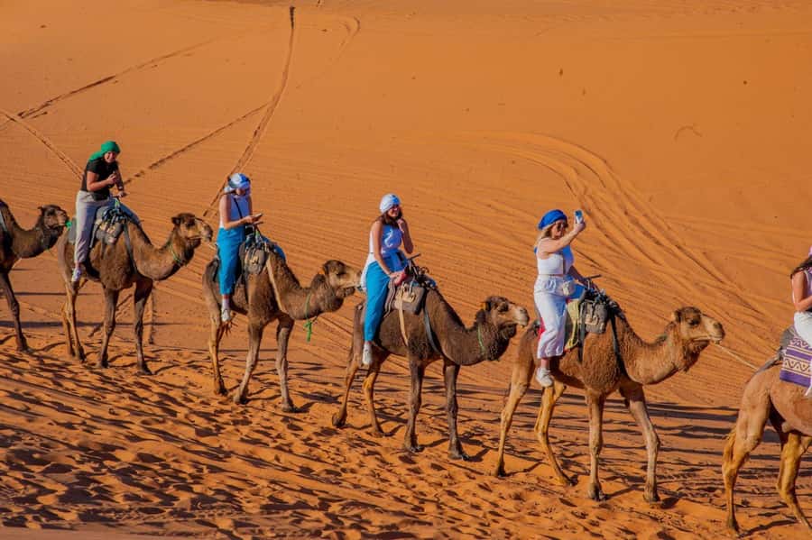 From Marrakech: Unforgettable 3-Day Desert Tour to Fes - Erfoud, fossils, and the Ziz Valley drive to Fes