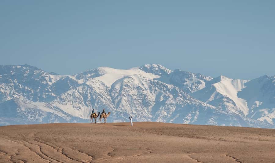 From Marrakech: VIP Agafay Desert & Oasis Camel Experience - Key things to know before you go