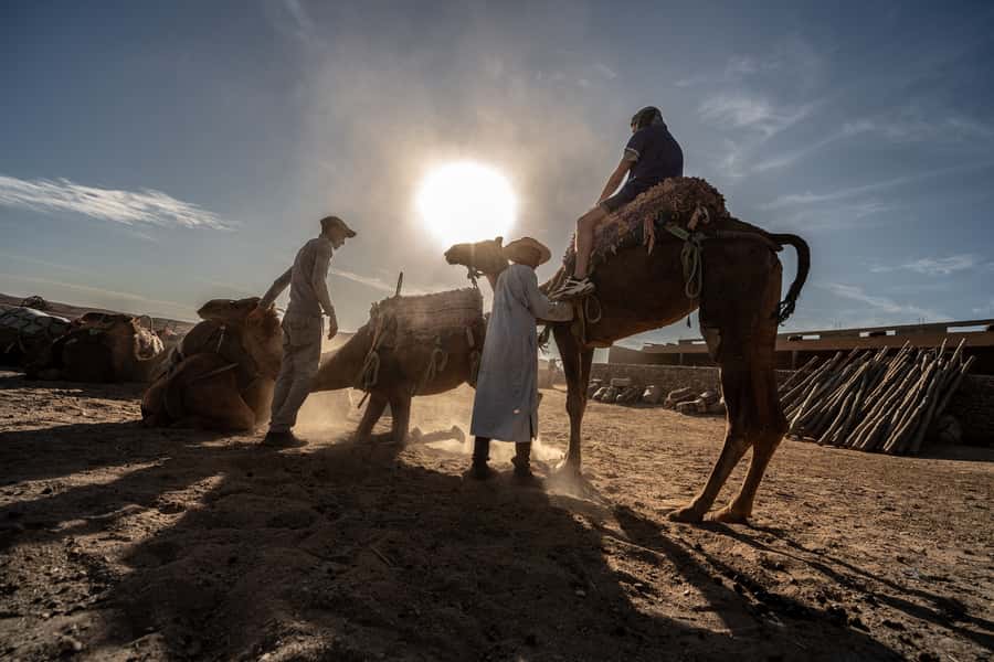From Marrakech: VIP Agafay Desert & Oasis Camel Experience - Entering The Agafay Oasis Day Trip From Marrakech