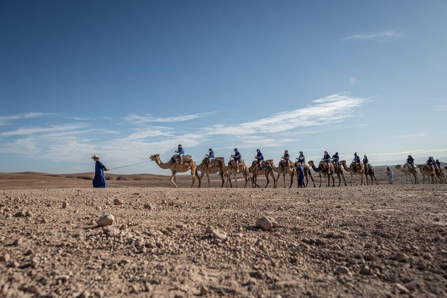 From Marrakech: VIP Agafay Desert & Oasis Camel Experience - Tea First, Then Your Camel Buddy in Agafay