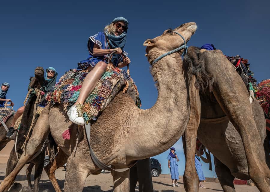 From Marrakech: VIP Agafay Desert & Oasis Camel Experience - What the Camel Ride Actually Feels Like