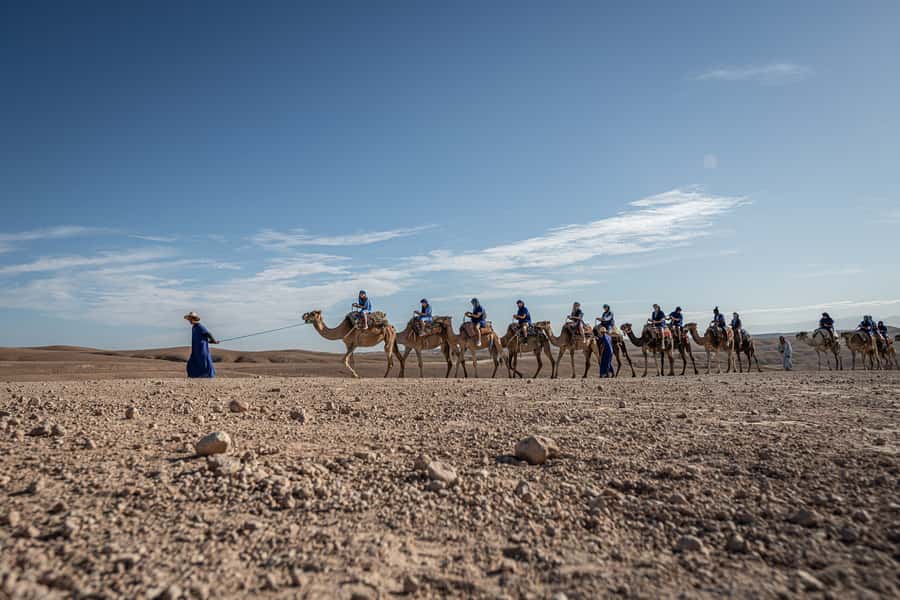 From Marrakech: VIP Agafay Desert & Oasis Camel Experience - Price and Value: Why $57 Can Make Sense Here