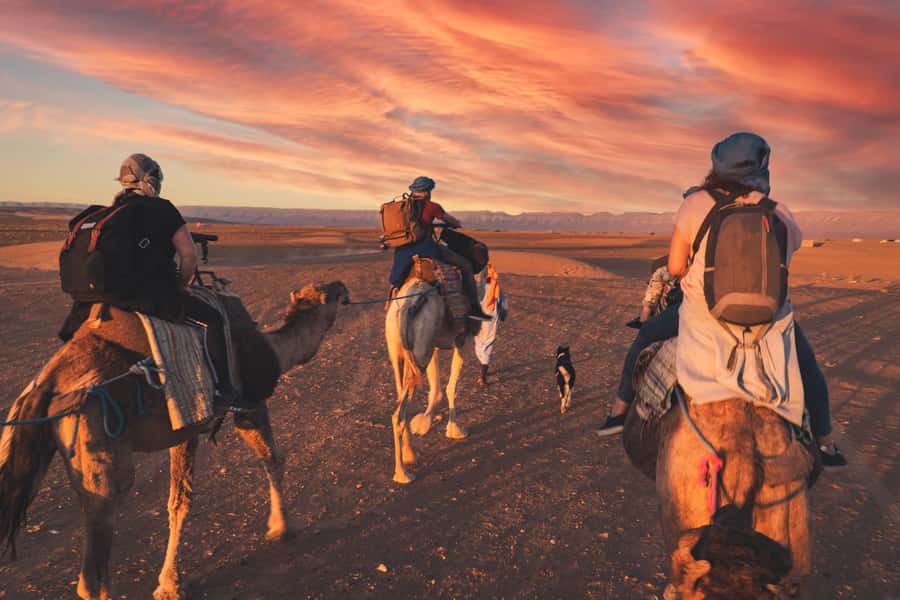 From Marrakech: Zagora 2-Day Desert Safari with Food & Camp - Agdez and the Draa Valley palm oasis ride that makes the desert feel real