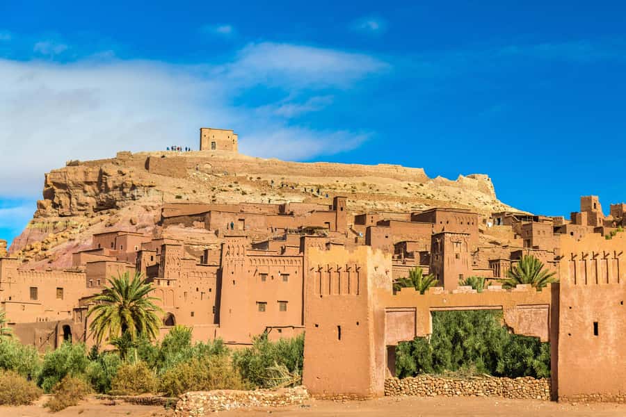 From Marrakech: Zagora 2-Day Desert Safari with Food & Camp - Practical tips that make the camel and camp easier
