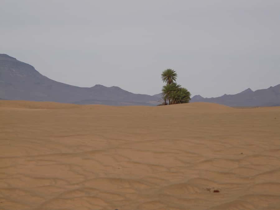 From Marrakesh: 2-Day Desert Zagoura Tour - Berber camp night: dinner, dancing, and real camp comfort