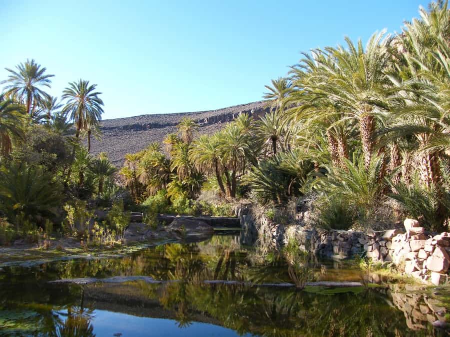 From Marrakesh: 2-Day Trek to Ait-Benhaddou and Ouarzazate - Who should book this, and who should skip it