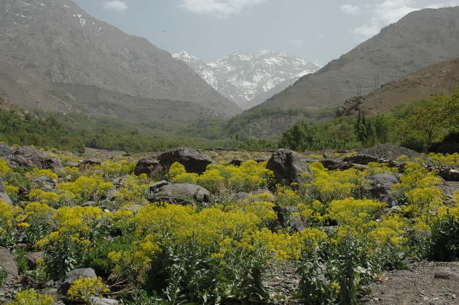 From Marrakesh: 3-Day Trip to Berber Villages - Day 2: Imnane Valley, Toubkal Views, and the Aït Aïssa Night