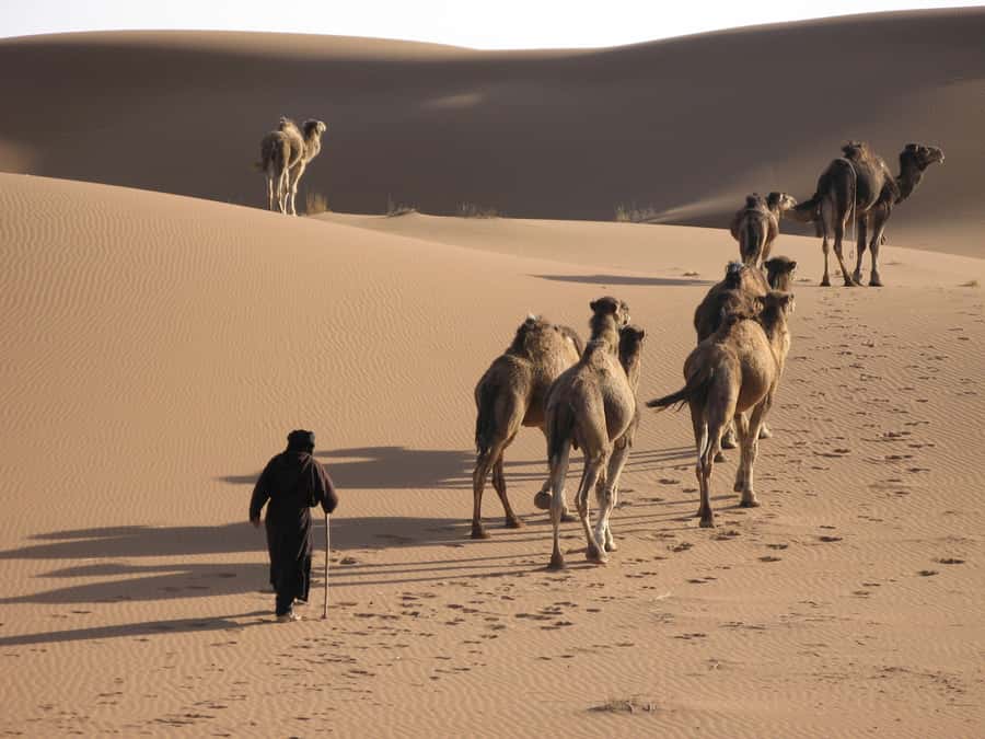 From Marrakesh: 3-Days Erg Chegaga Désert Tours - Price and Value: What $435 Covers, and Where You May Spend Extra