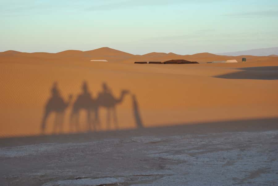 From Marrakesh: 3-Days Erg Chegaga Désert Tours - Wildlife, Wildlife Etiquette, and Staying Respectful in a Fragile Place