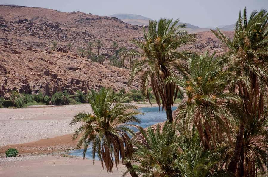 From Marrakesh: 4-Day Private Atlas Mountains & Desert Tour - Driving time, comfort, and safety: manage your expectations