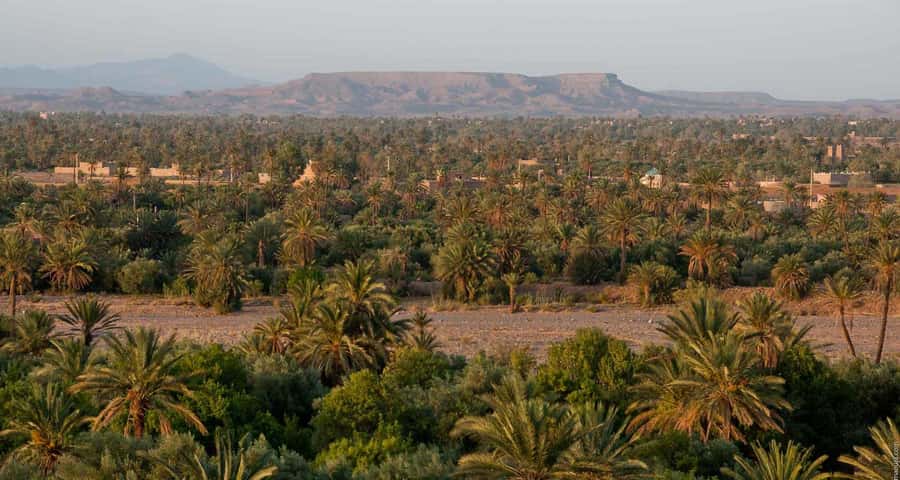 From Marrakesh: 4-Day Private Atlas Mountains & Desert Tour - What to bring and how to be ready for the desert night