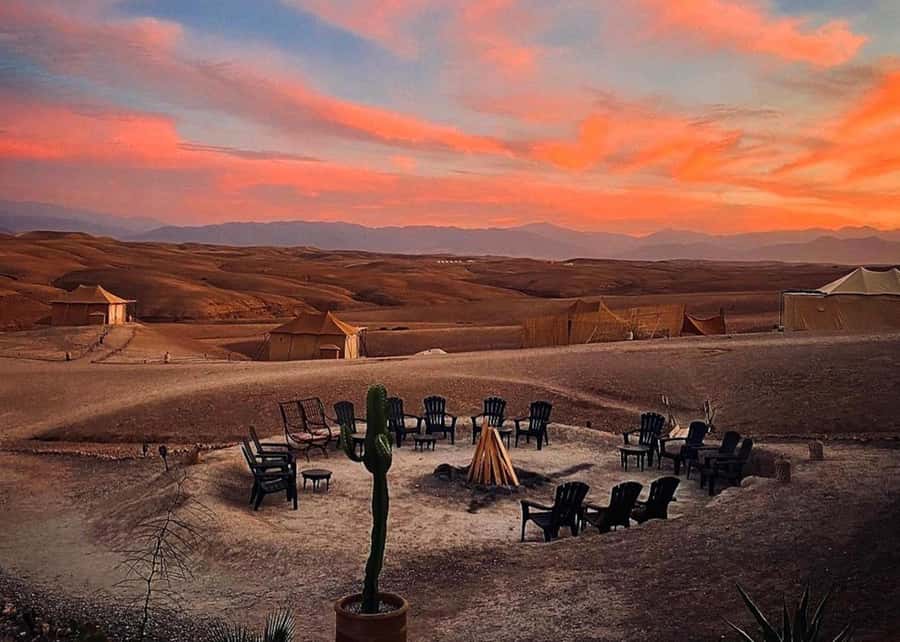 From Marrakesh Agafay Desert Dinner & Sunset, and Camel Ride - Price and value: what you get for about $32
