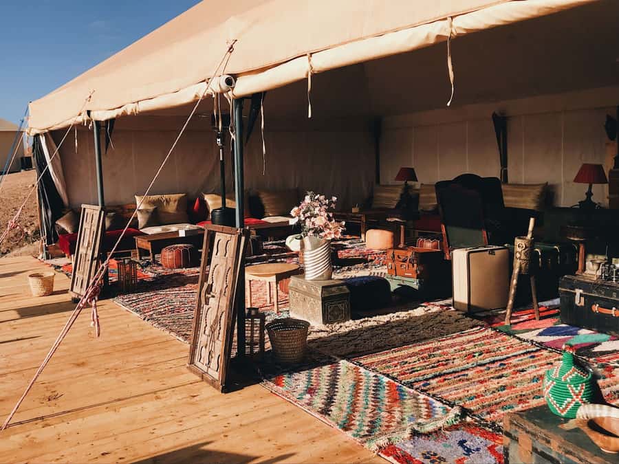 From Marrakesh: Agafay Desert Quad Biking, Camels & Dinner - Key Highlights You’ll Actually Care About