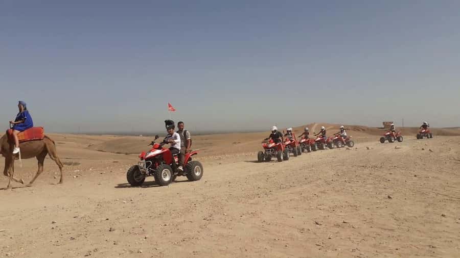 From Marrakesh: Agafay Desert Quad Biking, Camels & Dinner - From Marrakech Pickup to Agafay Desert Outskirts