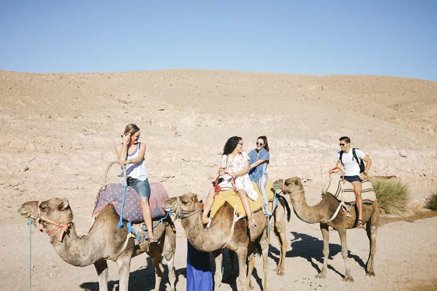 From Marrakesh: Agafay Desert Quad Biking, Camels & Dinner - Who This Tour Fits Best (and Who Should Skip It)