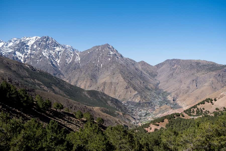 From Marrakesh: Atlas Mountains Talamrout Summit Day Hike - Guides and drivers: why the human touch changes the hike