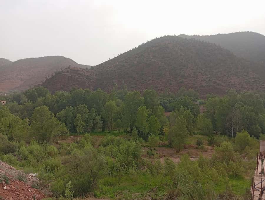 From Marrakesh: Day Tour to Ourika Valley & Atlas Mountains - Argan Oil Co-operative Stop: Value Beyond the Souvenir Shop