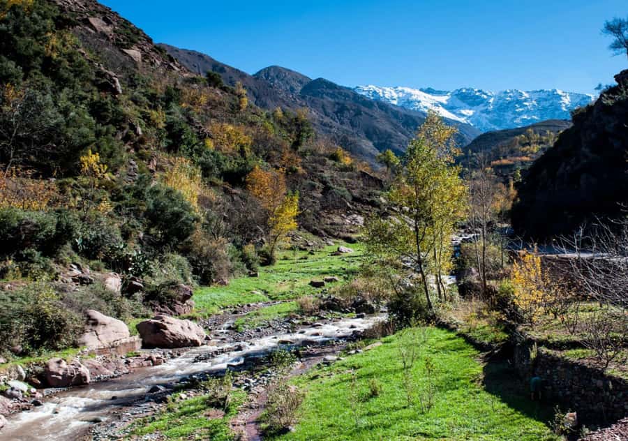 From Marrakesh: Day Trip to Atlas Mountains & Optional Lunch - Reaching Imlil: The Mountain Village That Sets the Tone