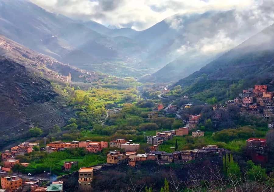 From Marrakesh: Day Trip to Atlas Mountains & Optional Lunch - The Guided Hike Through Terraced Fields and Waterfalls