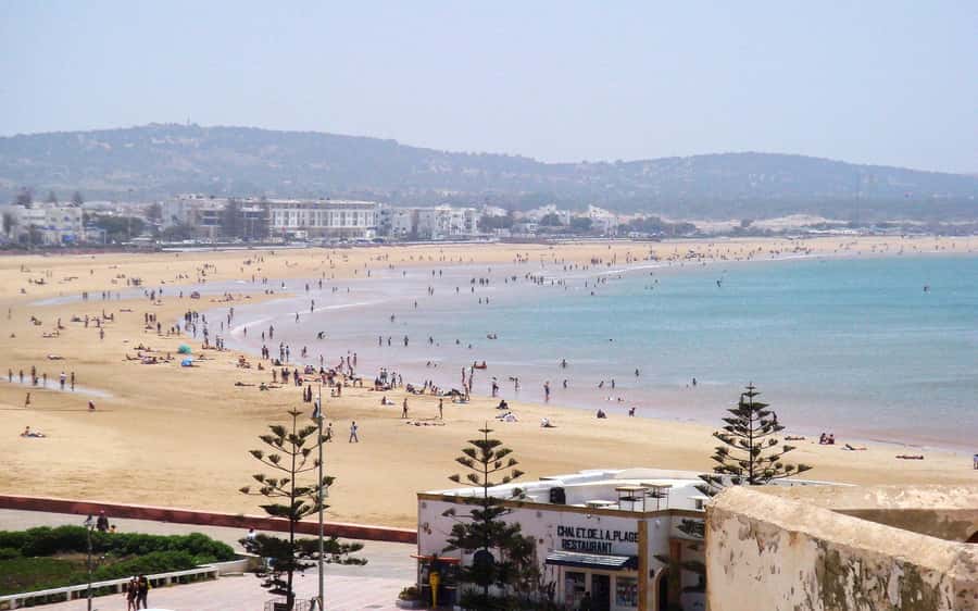 From Marrakesh: Essaouira Day Trip - Sqala du Port d’Essaouira: the Atlantic viewpoint stop that makes the trip feel worth it