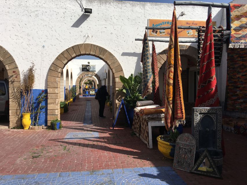 From Marrakesh: Essaouira Day Trip - Tree-climbing goats: the quick photo stop that feels like a scene