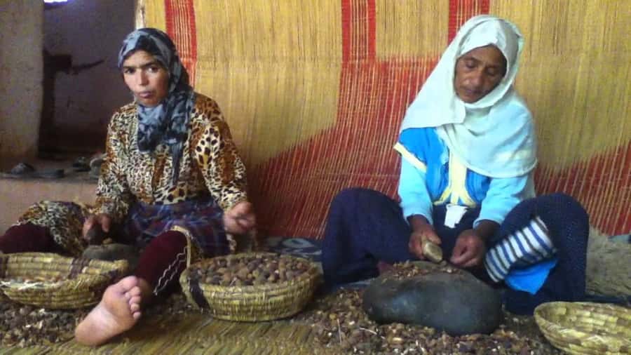 From Marrakesh: Essaouira Day Trip - Driver experience, language, and the self-guided reality