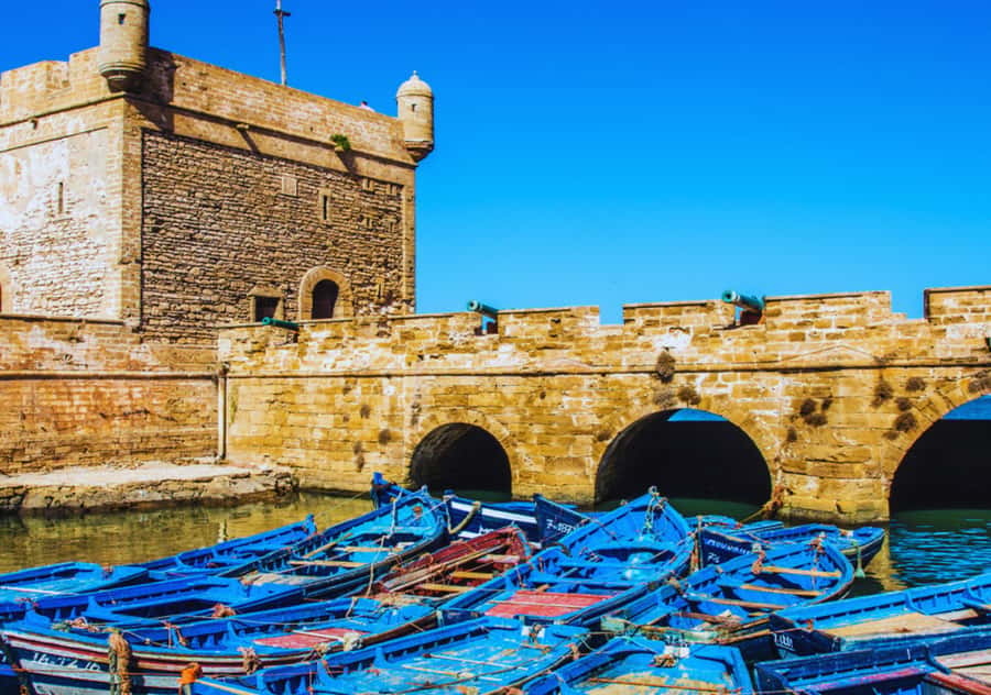 From Marrakesh: Essaouira Full-Day Trip - Quick reasons to book this Essaouira day trip
