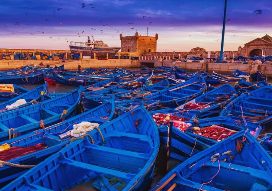 From Marrakesh: Essaouira Full-Day Trip - From Marrakech pickup to Atlantic air, the trip starts smooth