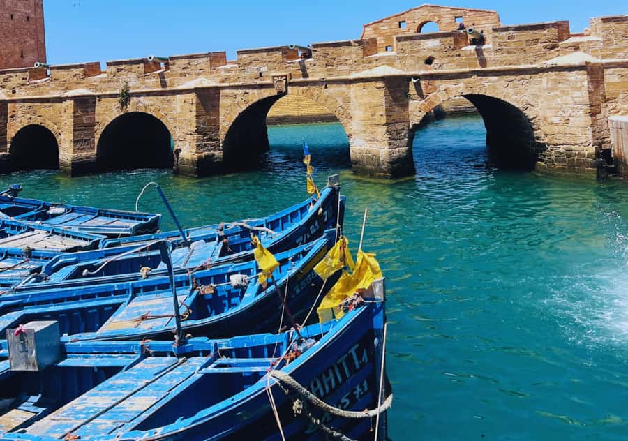 From Marrakesh: Essaouira Full-Day Trip - Beach free time: plan for wind, not comfort myths
