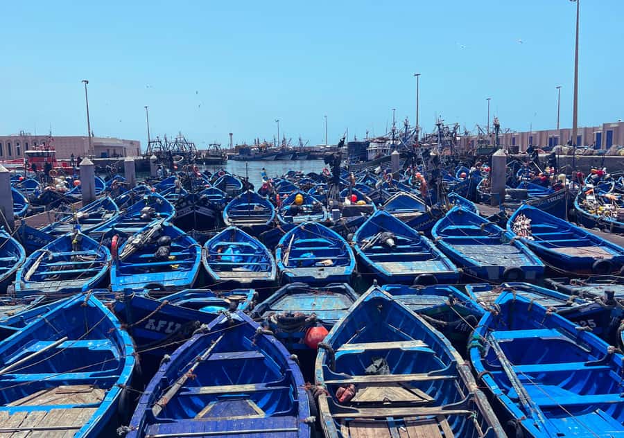From Marrakesh: Essaouira Full-Day Trip - Berber culture on the drive: useful context before you arrive