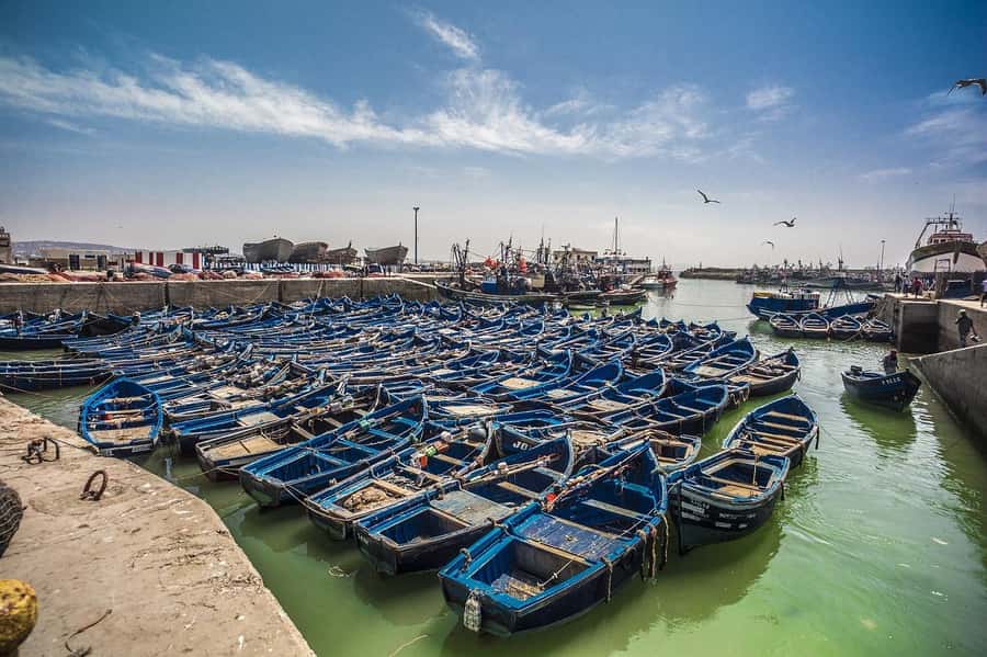 From Marrakesh: Small Group To Essaouira With Opt Activities - The 15-minute coffee and photo stop that breaks up the drive