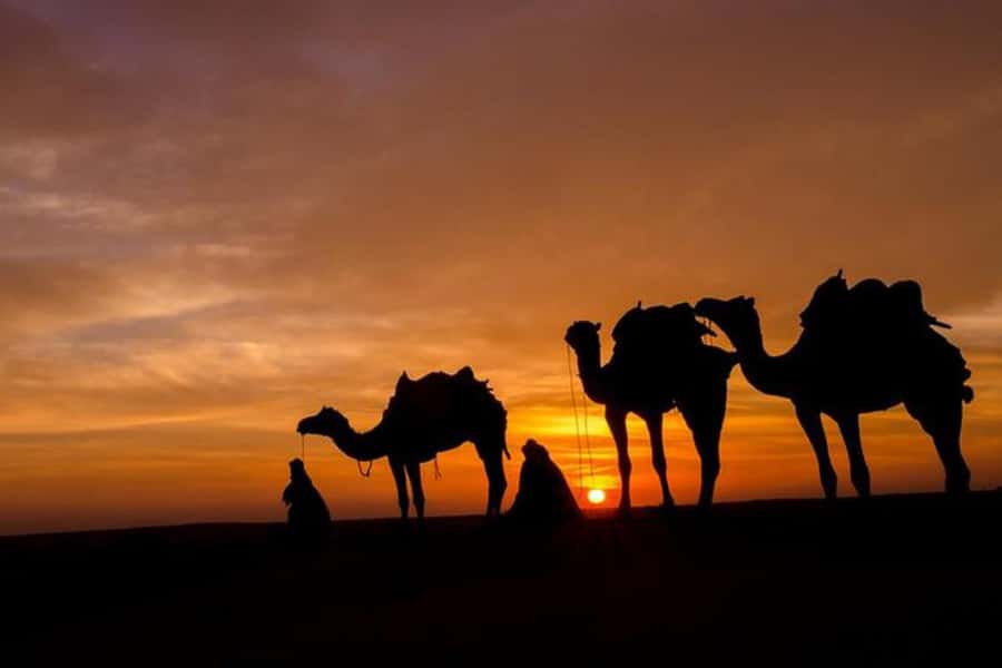 From Marrakesh: Sunset Dinner in Agafay at Berber Camp - Dinner under tent lights: tagine, salads, fruit, and tea