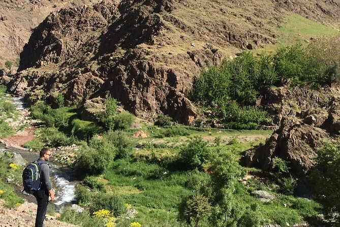 From Marrakesh: Zip-Line & Hike in the Atlas Mountains - Argan oil, bread, and oil tasting that feels like more than a stop