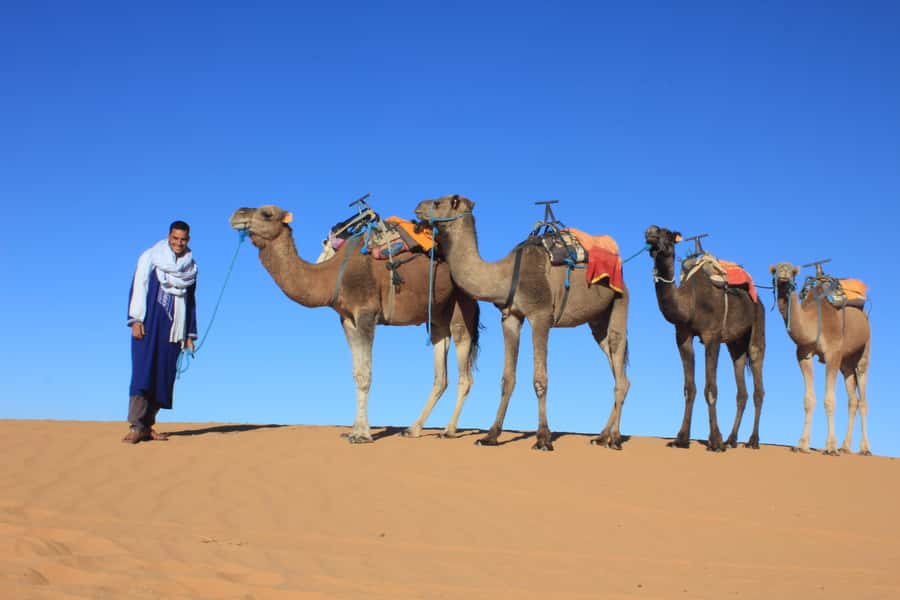 From Merzouga: Sunset Camel Ride & Sandboarding - Watching the Sky Turn: What the Dune-Top Stop Gives You
