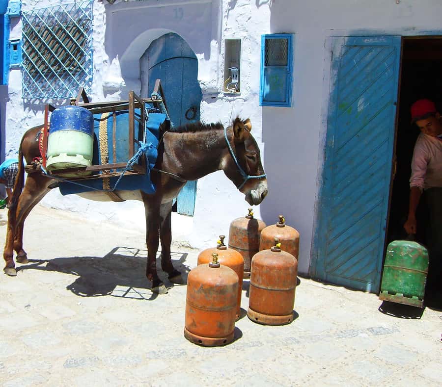 From Rabat: Chefchaouen full-Day trip including lunch - Lunch in Chefchaouen: Local Spices Without the Guesswork