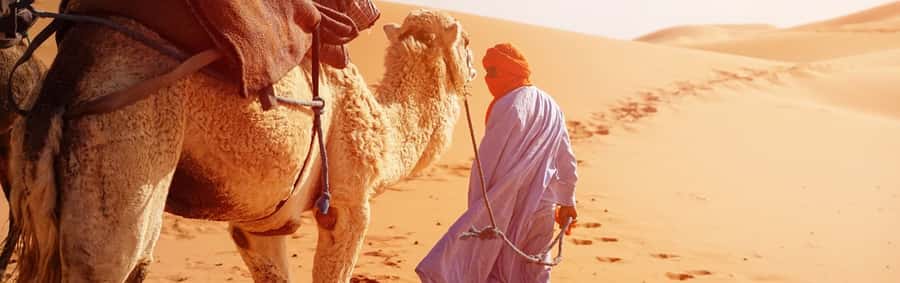 From Seville: Full-Day Tour to Tangier - Lunch In Tangier: Included Moroccan Food With One Big Caveat