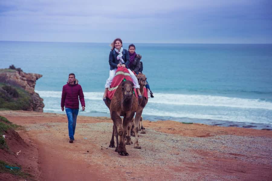From Seville: Tangier Day Trip with Local Guide and Lunch - Price and value: what you’re paying for in this $258 package