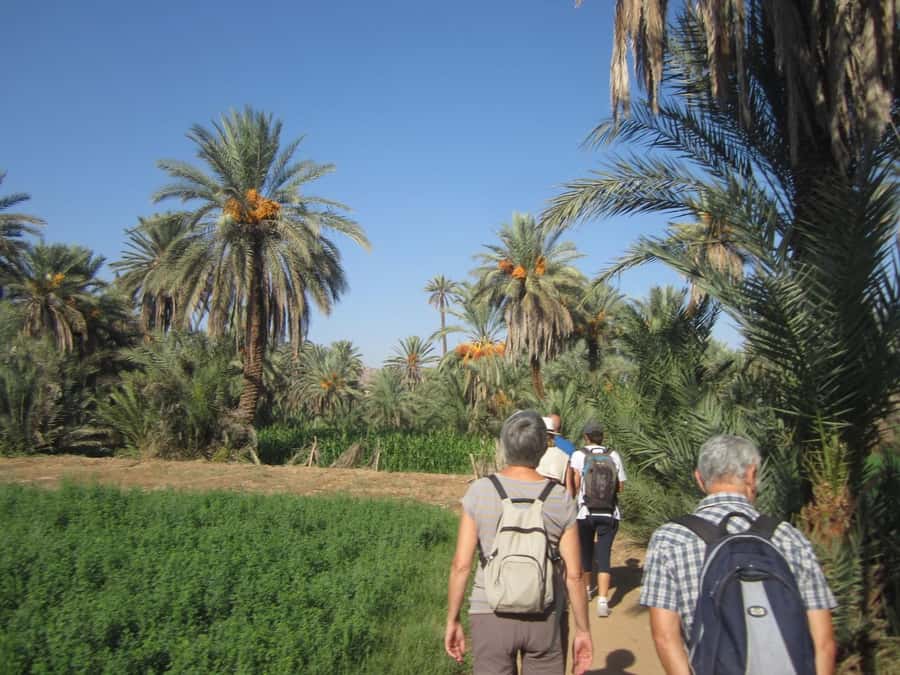 From Taghazout/Agadir: Taroudant and Tiout Day Trip & Tajine - Lunch in Tiout and mint tea: what’s included, what to expect
