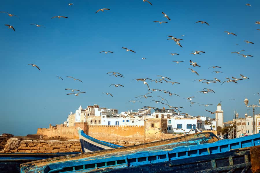 From Taghazout: Medina of Essaouira Guided Day Trip - Key Highlights To Know Before You Go