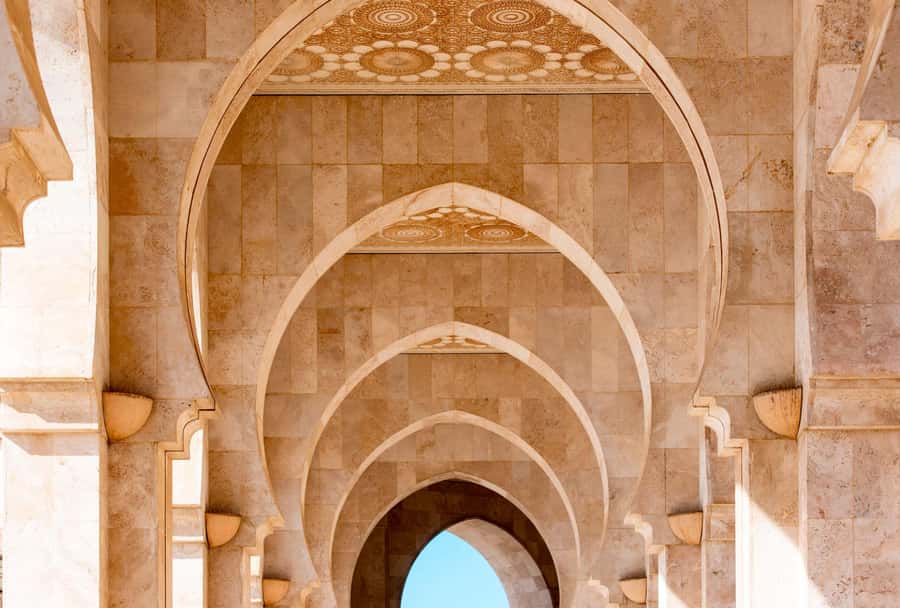 From Taghazout: Medina of Essaouira Guided Day Trip - Who this Taghazout to Essaouira trip suits best