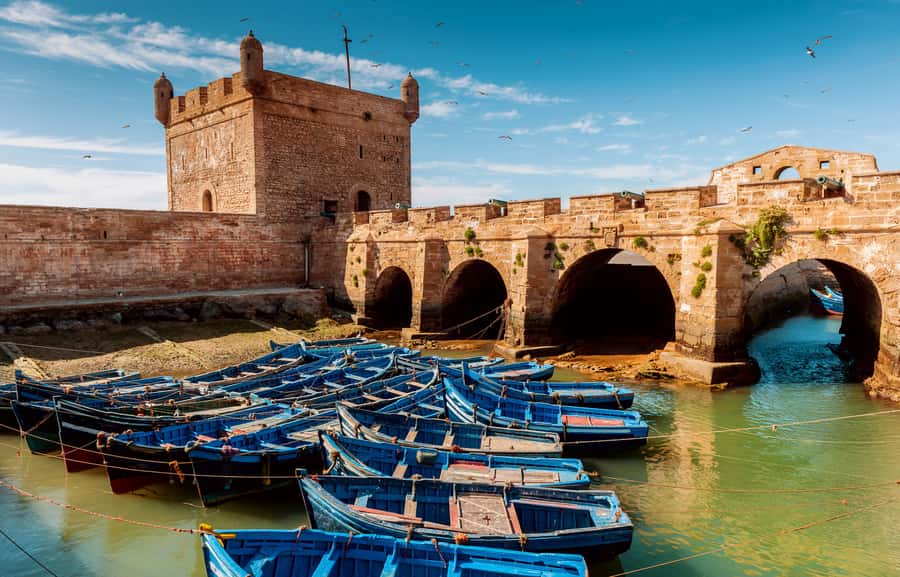 From Taghazout: Medina of Essaouira Guided Day Trip - Flying goats, argan trees, and a Berber coffee pause