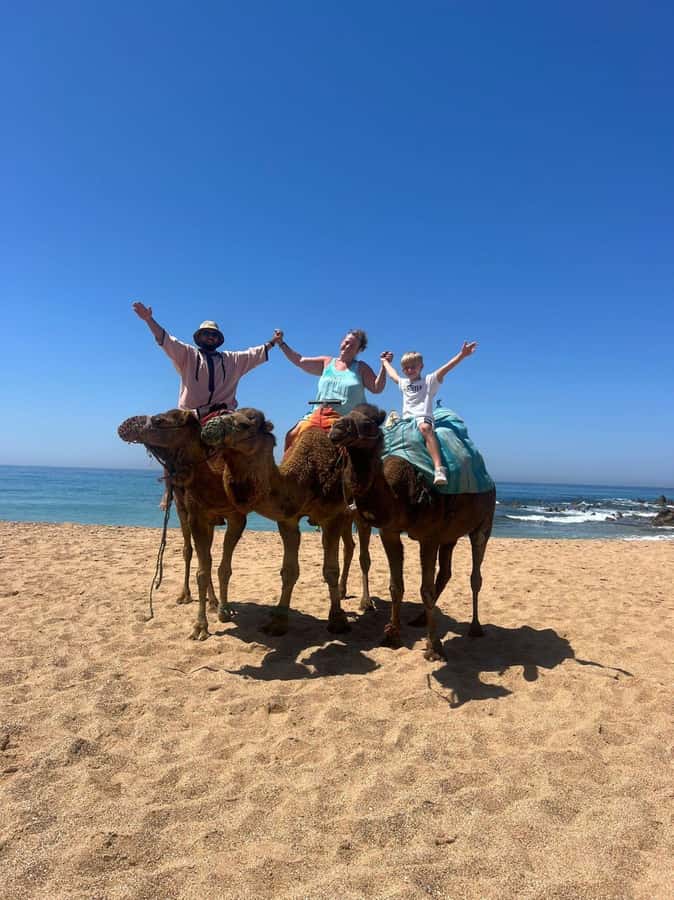 From Tangier: Asilah Tour with Tea Tasting & Camel Ride - Key moments that make this tour worth your time