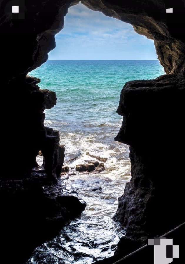 From Tangier: Asilah Tour with Tea Tasting & Camel Ride - Lunch by the coast: what is included, what you’ll pay for