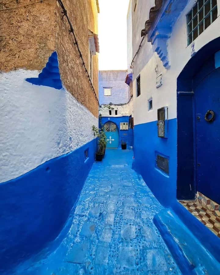 From Tangier: Asilah Tour with Tea Tasting & Camel Ride - Pickup timing, van comfort, and the pace you should expect