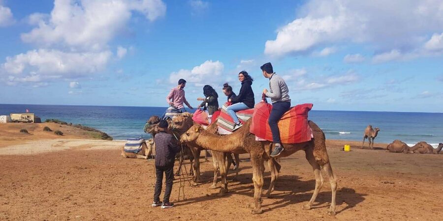From Tangier: Cap Spartel and Hercules Cave with Camel Ride - Should you book this Tangier tour?
